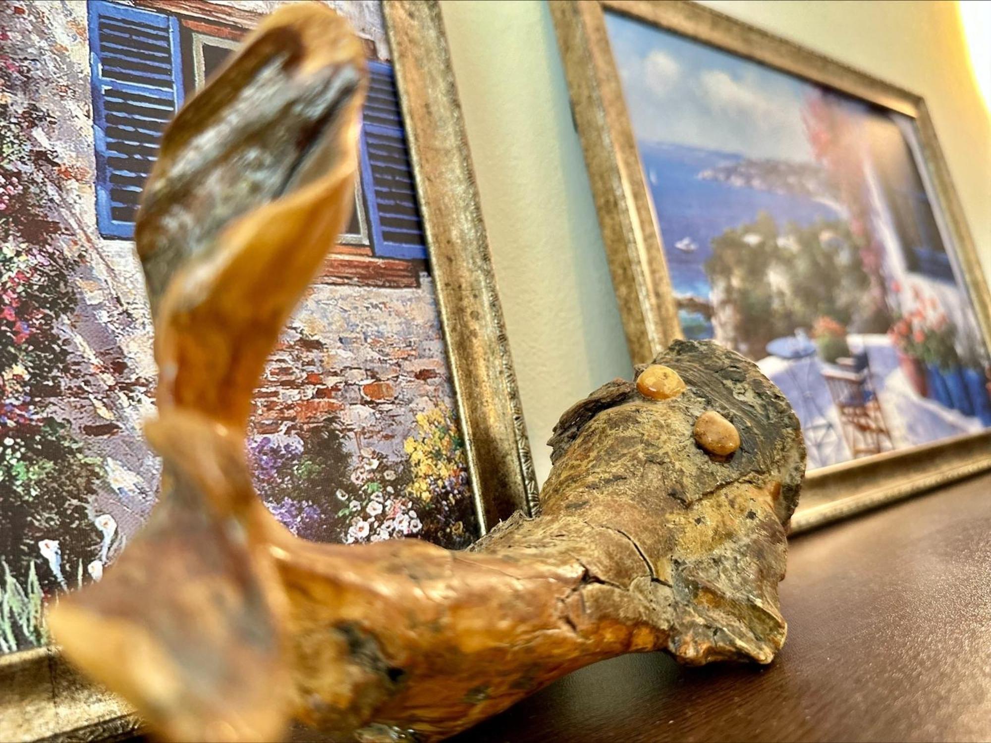 Menada Sveti Vlas Apartments 部屋 写真